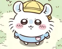 ウィンドブレーカー