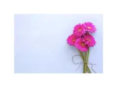 ゆき様専用ページ/1