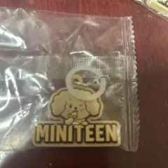 MINITEEN ガチャ