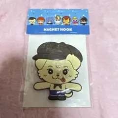 JSB3 マグネットフック 岩田剛典