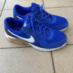 NIKE AIR MAX エクシー