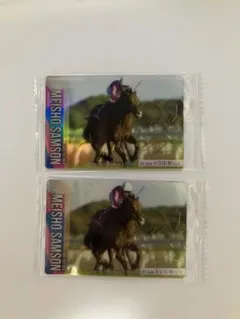 メイショウサムソン　武豊　サラブレッドホースコレクション