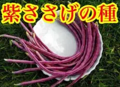 Jiruco様 リクエスト 2点 まとめ商品