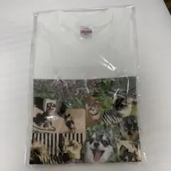 アイナジエンド　nukariari 非売品　Tシャツ