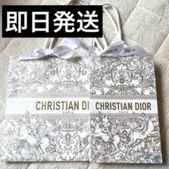 CHRISTIAN DIOR ショッパー　ギフト用ショップ袋セット