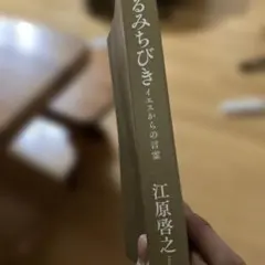 聖なるみちびき 江原啓之著