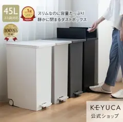 【りえんださん様専用】KEYUCA ダストボックスLL 45L 2個セットのサムネイル