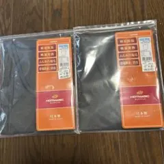 GUNZE ホットマジックVネックTシャツ　　L 2枚セット