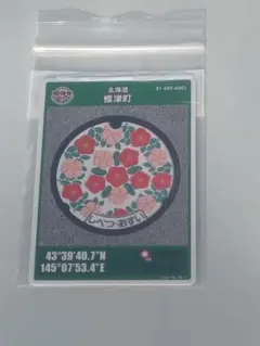 初期ロット 001 マンホールカード 標津町 北海道 第29弾 - メルカリ