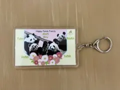 2026年最新】アドベンチャーワールド アクリルキーホルダーの人気