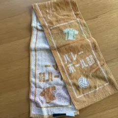 Item thumbnail for item 6ffc878b-3758-499c-bb82-6884bc7a4b2d