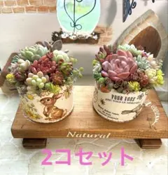 2026年最新】リメイク鉢の人気アイテム - メルカリ