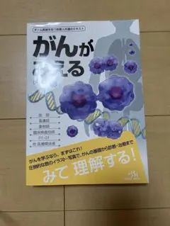 がんがみえる