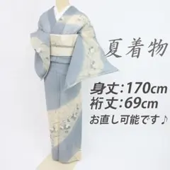 2026年最新】紬着物 裄69の人気アイテム - メルカリ