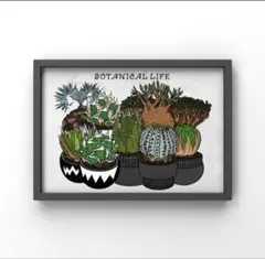 2026年最新】塊根植物 ポスターの人気アイテム - メルカリ