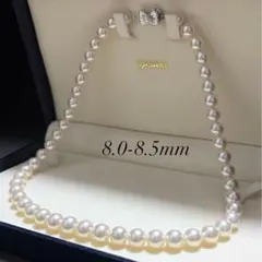 現行/K18/テリ最強】タサキ あこや真珠 パールネックレス 8mm ケース付