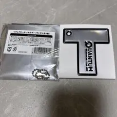 TM NETWORK QUANTUM リフレクター キーホルダー コンプ TM NETWORK Quantum リフレクターキーホルダー『T』 - メルカリ