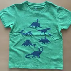 グラニフ　ビューティフルシャドー