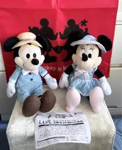 ディズニー☆SPRING vacation2022☆ラストワン賞ラッピング袋付