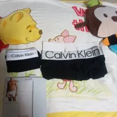 ビックロゴ　グレーマイクロファイバーカルバンクラインＬサイズ