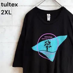 TULTEX 2XL 黒 Tシャツ ビッグサイズ USA古着 半袖 タルテックス
