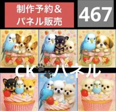 467番インコとわんこ 各1枚