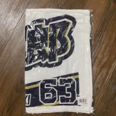 Item thumbnail for item 7871c406-939c-4fba-b15a-a7b9545ee9ea