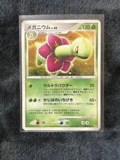 メガニウム ポケモンカード
