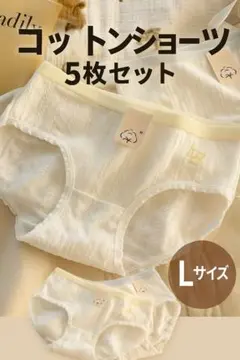 コットンショーツ 5枚セット【L】パンツ 下着 レディース 学生 新品 シンプル