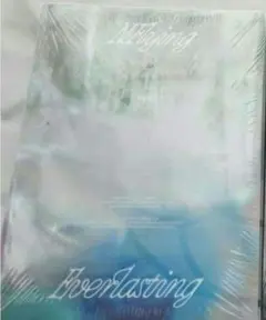 未開封】N.FlyingアルバムEverlasting 3枚セット - メルカリ