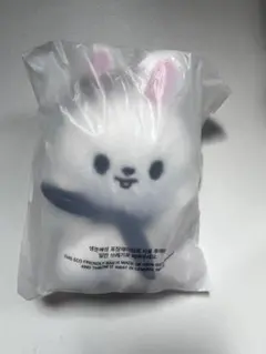 SKZOO ジニレット バンザイ 10cmぬいぐるみ SKZOO 10CM バンザイ ぬいぐるみ ジニレット ソウルコン 特典トレカ