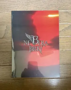 Item thumbnail for item 607cf172-902c-44dd-8bd6-99921f768fc9