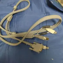 Item thumbnail for item d4632d04-3bf5-4ba0-9bb7-f214ddbeab20