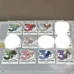 韓国限定 ポケモン メガ フェスタ ランダムステッカー バラ売り可能 2