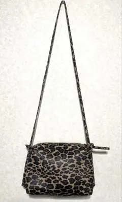 【美品】HUSHUSH ヒョウ柄 ショルダーバッグ&ポーチのサムネイル