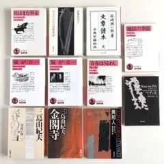 Item thumbnail for item 816bb415-0612-4b28-b138-755038b5ac7a