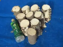 Item thumbnail for item ebbd197f-0297-41b3-b284-595d8f5fb638