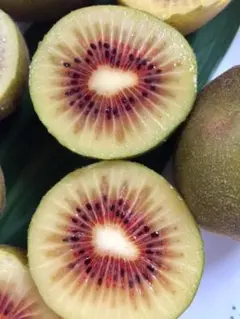 みーまよ様 リクエスト 5点 まとめ商品