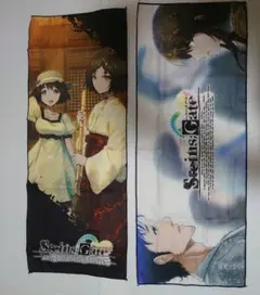 2025年最新】STEINS;GATE マイクロファイバータオルの人気