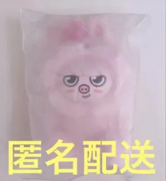 【未開封】StrayKids 本国ペンミ　トェッキ　チャンビンTOYver