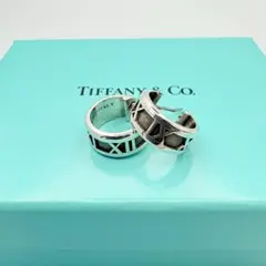 2025年最新】tiffany ピアス アトラスの人気アイテム - メルカリ