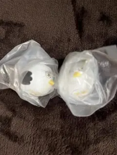 ハイキュー!! おすわりちょこん 星海光来