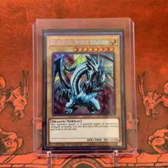 2025年最新】青眼の白龍 ct14の人気アイテム - メルカリ