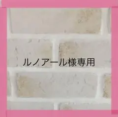 ルノアール様専用ページ