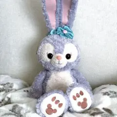 ステラルーMサイズぬいぐるみ❣️新品タグ付き✨写真の子 2025年最新】ステラルーmサイズの人気アイテム - メルカリ