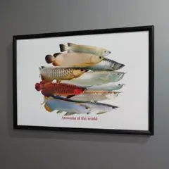 2025年最新】アロワナの人気アイテム - メルカリ