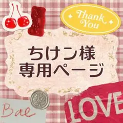 ちけン様 リクエスト 5点 まとめ商品