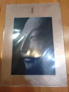 安田暎胤 吉祥天像 掛け軸 紙本 薬師寺 国宝 太巻 限定品 極箱 美品 Amazon.co.jp: 安田暎胤 吉祥天像 掛け軸 紙本 薬師寺 国宝 太巻 限定