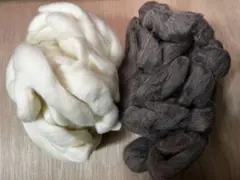 シェトランドトップ原毛