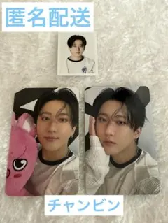 Straykids チャンビン 購入特典トレカ IDフォトカードセット